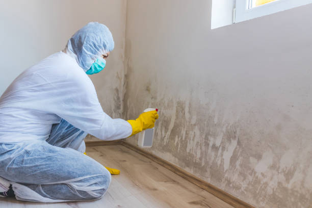 Bathroom Mold Removal assessment in Fort Bragg bathroom