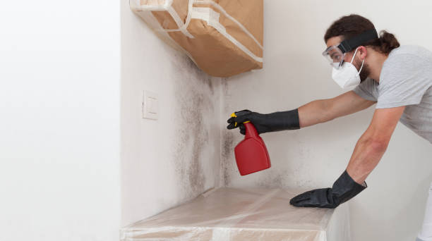 Attic Mold Remediation treatment on roof deck in Fort Bragg