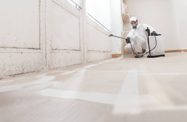 Post-remediation clearance in Fort Bragg
