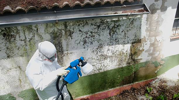 Mold Remediation service in Fort Bragg, Fort Bragg, NC